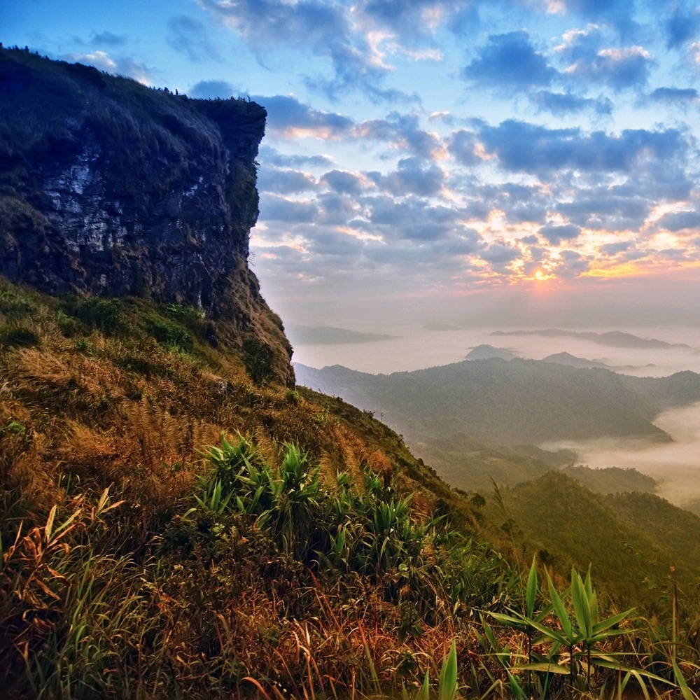 Meet your Posher, Griselda